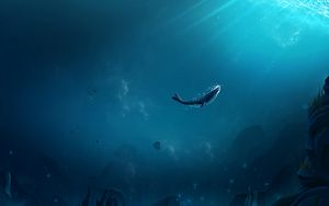 Preview wallpaper whale, ocean, underwater world, air bubbles, bottom, rays of light