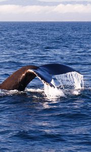 Preview wallpaper whale, tail, sea, splashes