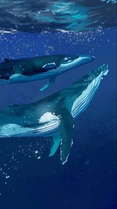 Preview wallpaper whales, water, underwater, sea, art