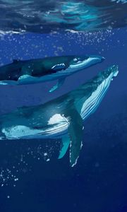 Preview wallpaper whales, water, underwater, sea, art