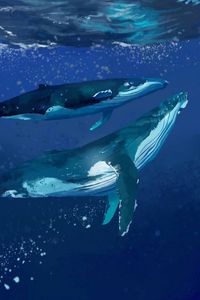 Preview wallpaper whales, water, underwater, sea, art