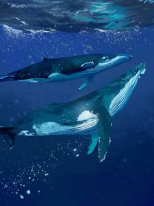 Preview wallpaper whales, water, underwater, sea, art