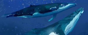 Preview wallpaper whales, water, underwater, sea, art