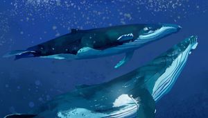 Preview wallpaper whales, water, underwater, sea, art