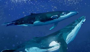 Preview wallpaper whales, water, underwater, sea, art