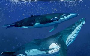 Preview wallpaper whales, water, underwater, sea, art