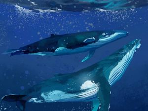 Preview wallpaper whales, water, underwater, sea, art