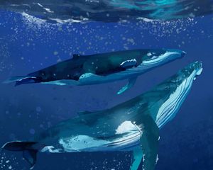 Preview wallpaper whales, water, underwater, sea, art