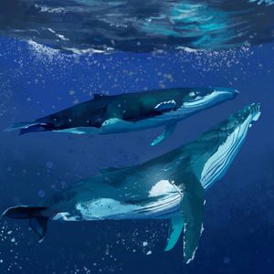 Preview wallpaper whales, water, underwater, sea, art