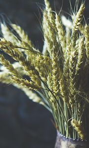 Preview wallpaper wheat, ears, bouquet, vase