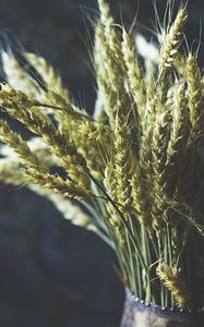 Preview wallpaper wheat, ears, bouquet, vase