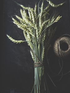 Preview wallpaper wheat, ears, stems, macro