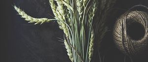 Preview wallpaper wheat, ears, stems, macro