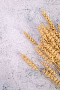 Preview wallpaper wheat, ears, surface, cranny