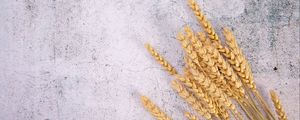 Preview wallpaper wheat, ears, surface, cranny