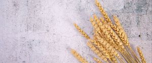 Preview wallpaper wheat, ears, surface, cranny