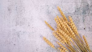 Preview wallpaper wheat, ears, surface, cranny