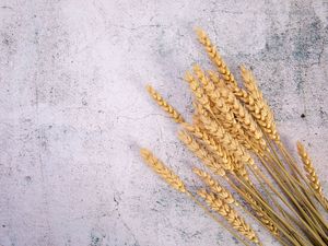 Preview wallpaper wheat, ears, surface, cranny