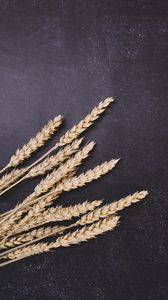Preview wallpaper wheat, ears, surface