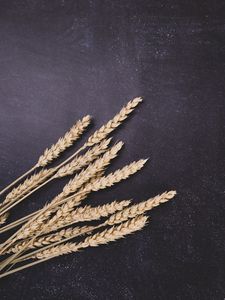 Preview wallpaper wheat, ears, surface