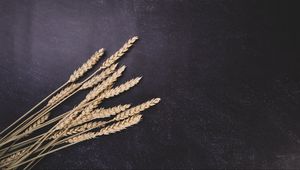 Preview wallpaper wheat, ears, surface