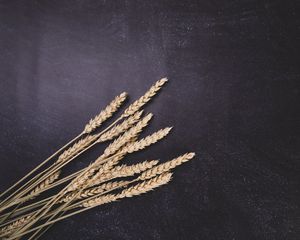 Preview wallpaper wheat, ears, surface