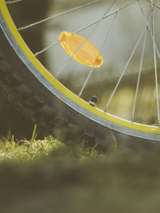 Preview wallpaper wheel, bicycle, spokes