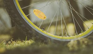 Preview wallpaper wheel, bicycle, spokes