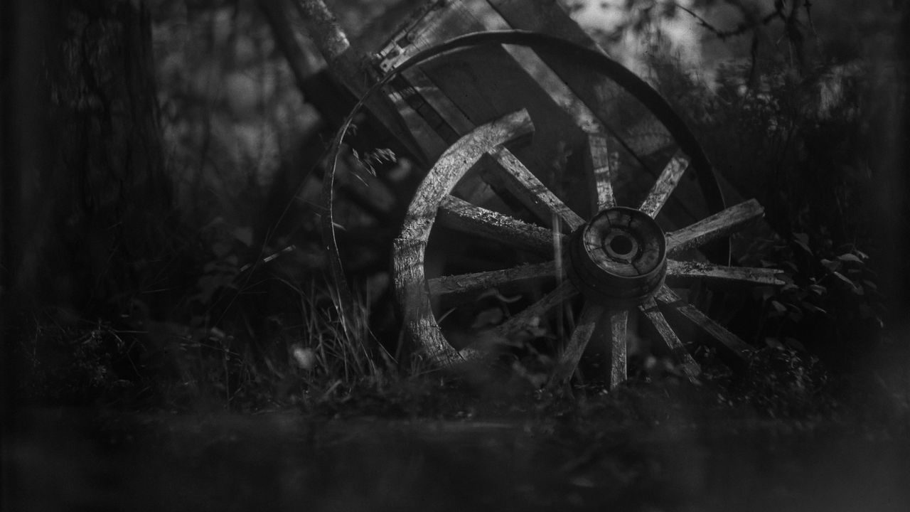 Wallpaper wheel, cart, old, branches, dark, black and white