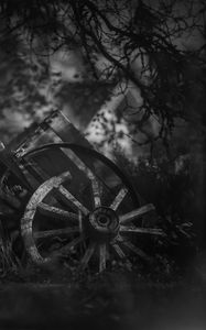 Preview wallpaper wheel, cart, old, branches, dark, black and white