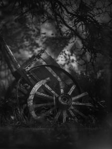 Preview wallpaper wheel, cart, old, branches, dark, black and white
