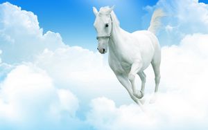 Preview wallpaper white horse, clouds, jumping