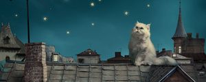Preview wallpaper white persian cat, kitten, fairy tale, fantasy, roofs, houses, sky, night, stars, moon