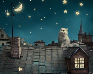Preview wallpaper white persian cat, kitten, fairy tale, fantasy, roofs, houses, sky, night, stars, moon