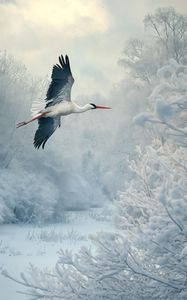 Preview wallpaper white stork, stork, bird, snow, winter, trees