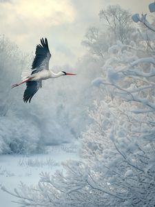 Preview wallpaper white stork, stork, bird, snow, winter, trees