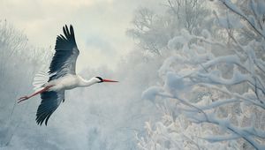 Preview wallpaper white stork, stork, bird, snow, winter, trees
