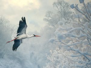 Preview wallpaper white stork, stork, bird, snow, winter, trees