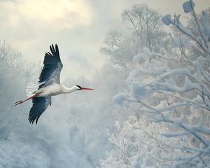 Preview wallpaper white stork, stork, bird, snow, winter, trees