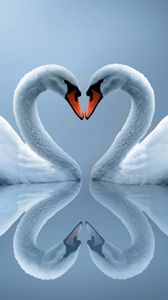 Preview wallpaper white swans, couple, heart, reflection