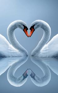 Preview wallpaper white swans, couple, heart, reflection