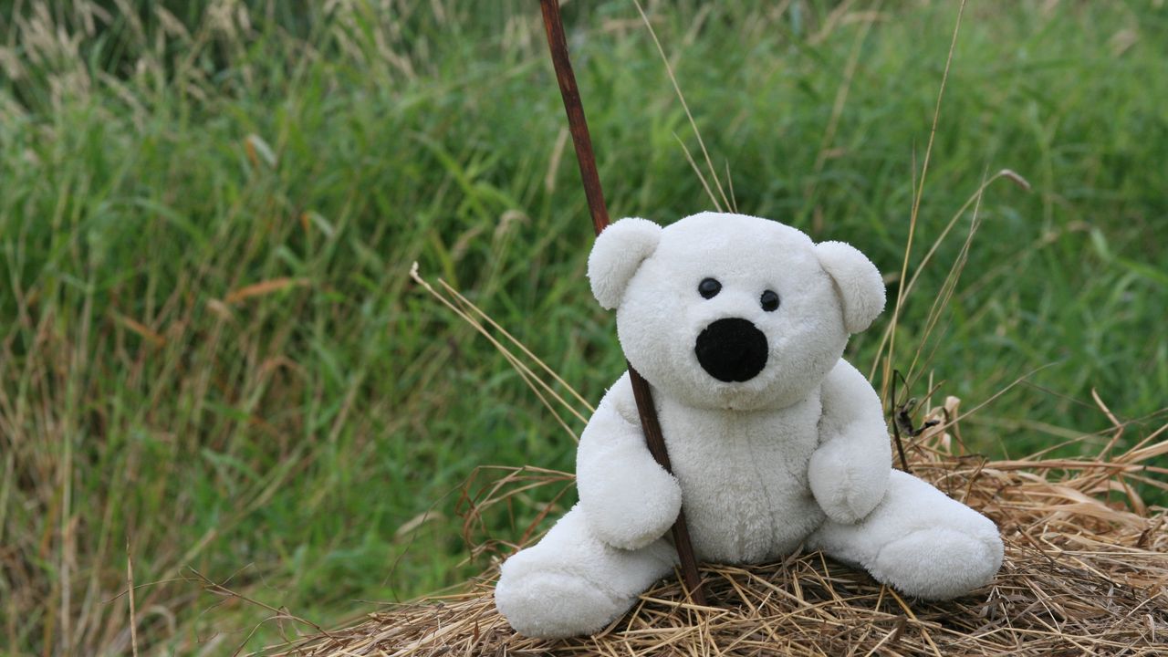 Wallpaper white, toy, teddy bear, mood, walk, hay, grass