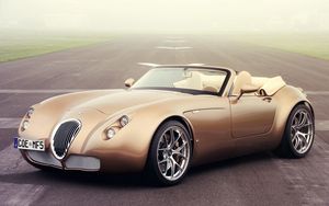 Preview wallpaper wiesmann roadster mf5, wiesmann auto-sport, convertible, side view