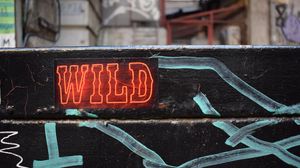 Preview wallpaper wild, neon, inscription, words