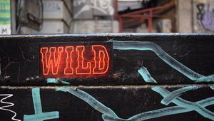 Preview wallpaper wild, neon, inscription, words