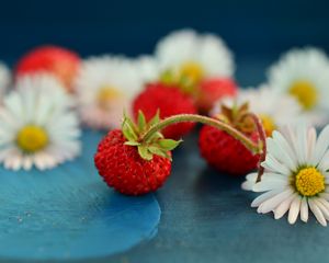 Preview wallpaper wild strawberry, chamomile, berries