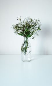 Preview wallpaper wildflowers, flowers, bouquet, minimalism, white