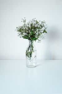 Preview wallpaper wildflowers, flowers, bouquet, minimalism, white