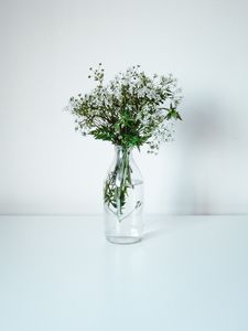 Preview wallpaper wildflowers, flowers, bouquet, minimalism, white