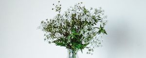 Preview wallpaper wildflowers, flowers, bouquet, minimalism, white